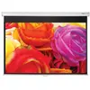 Image de OPTOMA DS1095PMG+