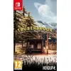 Image de TrÃ¼berbrook Switch