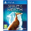 Image de Spirit of the North PS4