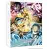 Image de Sword Art Online Alicization L'intégrale de la Saison 1 Blu-ray