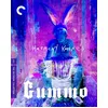 Image de Gummo Blu-ray 4K Ultra HD