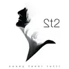 Image de 2T2 Vinyle Coloré
