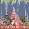 Image de People Like Us - Copia [Vinyl Lp]