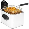 Image de Friteuse 1905b Frifri
