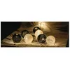 Image de Guirlande Bille 10 LED