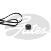 Image de GATES K033PK753 Jeu de courroies multipistes