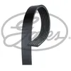 Image de Gates Courroie D'accessoire 6pk1033