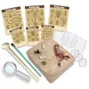 Image de Kit Découverte de la Science - Déterre Les Insectes - 4M