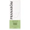 Image de Ceylon Cinnamon Essential Oil