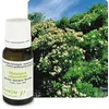 Image de Pranarom Huile Essentielle Tea Tree 10 Ml