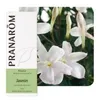 Image de Jasmin (Absolue) - Jasminum Officinalis 5 Ml - PranarÃ´m