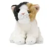 Image de Peluche - Chat Calico 20 Cm - Anna Club
