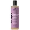 Image de Urtekram Shampoing Doux Lavande Apaisante Soothing Lavender - Brillance Maximale