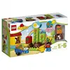 Image de LEGO® DUPLO® 10819 Mon premier jardin