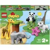Image de LEGO® DUPLO® Ma ville 10904 Les bébés animaux