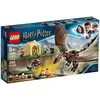 Image de LEGO Harry Potter - Magyar Ã  pointes du Tournoi des Trois Sorciers - 75946