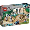 Image de LEGO Jurassic World - La fureur du TricÃ©ratops - 75937