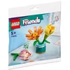 Image de LEGO Friends - Les fleurs de l'amitiÃ© (Polybag) - 30634