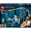 Image de LEGO® Harry Potter  76432 La Forêt interdite : les créatures magiques