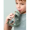 Image de Gourde avec paille rétractable vert TU