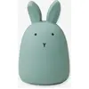 Image de Veilleuse lapin Winston - vert TU