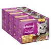 Image de Mégapack Whiskas 1+ Marmiton 48 x 85 g pour chat - Sélection de volaille en gelée