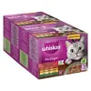 Image de Mégapack Whiskas 1+ Marmiton 48 x 85 g pour chat - Sélection classique en gelée