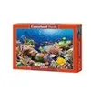Image de Puzzle Castorland - Poissons des récifs coralliens, 1000 pièces