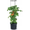 Image de Pot Pour Pied De Tomates 28l Tomato Grower Ipom400-S433