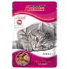 Image de Super Benek Super Chunks 24 x 100 g pour chat - boeuf en sauce