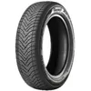 Image de Pneu Gripmax Suregrip A/S Nano ( 245/70 R16 107H )