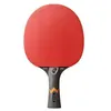 Image de stiga raquette de tennis de table royal three star wrb