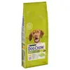 Image de 14kg Adult, poulet PURINA Dog Chow - Croquettes pour Chien