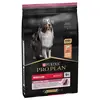 Image de 7kg Medium Adult Sensitive Skin saumon Pro Plan - Croquettes pour chien