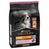 Image de PURINA PRO PLAN Medium & Large Adult 7+ Sensitive Skin pour chien - 3 kg