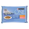 Image de 4x85 g Purina ONE Coat et Hairball poulet et saumon nourriture pour chat humide