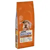 Image de PURINA Dog Chow Mature Senior poulet pour chien - 14 kg