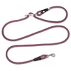 Image de Laisse Pour Chien Curli Vario