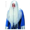 Image de Perruque Sorcier Avec Barbe Avec Elastique