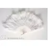 Image de Eventail Plumes Blanches