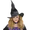 Image de Chapeau de sorcière souple adulte