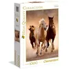 Image de Puzzle 1000 pièces - Chevaux sauvages au galop