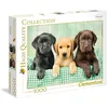 Image de Puzzle 1000 pièces Clementoni High Quality Three Labs