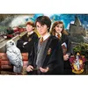 Image de HARRY POTTER 4 (COMPACT BOX 1000 STUKJES)