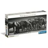 Image de Compact 1000 pieces Panorama - Herd of Giants