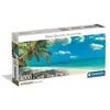 Image de Compact 1000 pieces Panorama - Swinging by the Oc