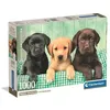 Image de Compact 1000 pieces - Three Labs