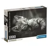 Image de Compact 1000 pieces - Kitty