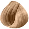 Image de Wella, Colorations D'oxydation Avec Ammoniaque 10/31 : Blond TrÃ¨s TrÃ¨s Clair DorÃ© CendrÃ© 60ml, Femme