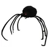 Image de Trudi - 10915 - farce et attrape - veuve noire - idurt - 19 5 cm